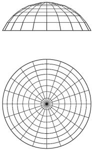 żebrowe