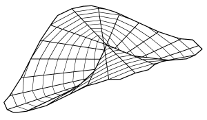 Konoid Pluckera A3